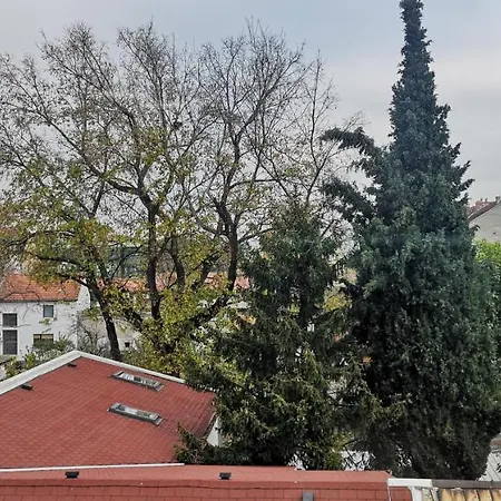 Filinhome Stefanovica 9